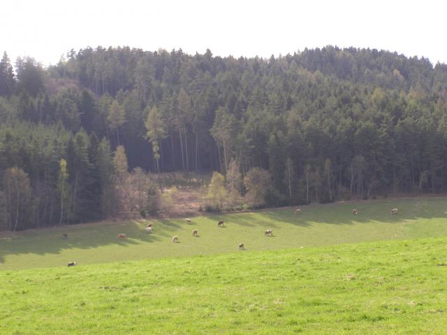 Brdo a Jasánek od Skal